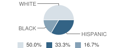 Galveston County Juvenile Justice Alternative Education Program (Jjaep) School Student Race Distribution