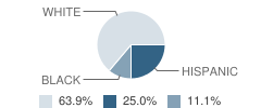 Montgomery County Juvenile Justice Alternative Education Program (Jjaep) School Student Race Distribution
