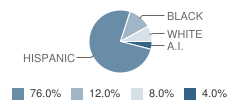 Cypress-Fairbanks Juvenile Justice Alternative Education Program (Jjaep) School Student Race Distribution