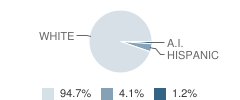 Deweyville Middle School Student Race Distribution