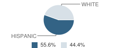 Galveston County Juvenile Justice Alternative Education Program (Jjaep) School Student Race Distribution