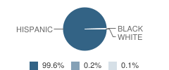 A P Solis Middle School Student Race Distribution