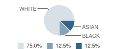 Nueces County Juvenile Justice Alternative Education Program (Jjaep) School Student Race Distribution