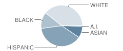 B G Hudson Middle School Student Race Distribution