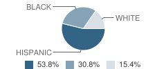 Williamson County Juvenile Justice Alternative Education Program (Jjaep) School Student Race Distribution