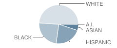 Performing & Visual Arts High School Student Race Distribution