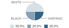Tarrant County Juvenile Justice Alternative Education Program (Jjaep) School Student Race Distribution