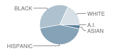 Woodlake Elementary School Student Race Distribution