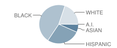 Manor Middle School Student Race Distribution