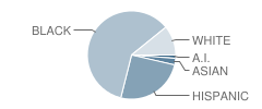 Killeen Alternative Center (Hs) School Student Race Distribution
