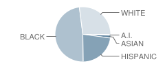 Hay Branch Elementary School Student Race Distribution