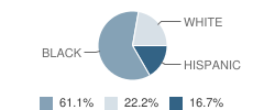 Killeen Juvenile Justice Alternative Education Program (Jjaep) School Student Race Distribution