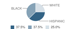 Harris County Juvenile Justice Alternative Education Program (Jjaep) School Student Race Distribution