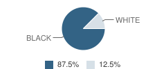 Galveston County Juvenile Justice Alternative Education Program (Jjaep) School Student Race Distribution
