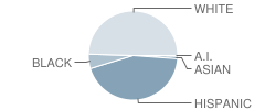 Leo Rizzuto Elementary School Student Race Distribution