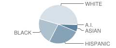 Virginia Allred Stacey High School (Junior / Senior) Student Race Distribution