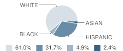 Denton County Juvenile Justice Alternative Education Program (Jjaep) School Student Race Distribution