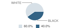 Tarrant County Juvenile Justice Alternative Education Program (Jjaep) School Student Race Distribution