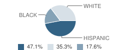 North East Juvenile Justice Alternative Education Program (Jjaep) School Student Race Distribution