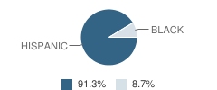 Excel Academy Juvenile Justice Alternative Education Program (Jjaep) Student Race Distribution