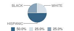 Brazoria County Juvenile Justice Alternative Education Program (Jjaep) School Student Race Distribution