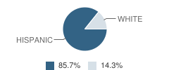 Hale County Juvenile Justice Alternative Education Program (Jjaep) School Student Race Distribution