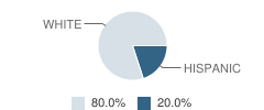 Plano Juvenile Justice Alternative Education Program (Jjaep) School Student Race Distribution