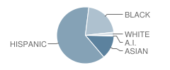 Lee Elementary School Student Race Distribution