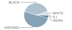 Tyrrell Elementary School Student Race Distribution
