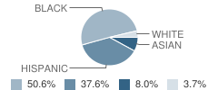 Austin Middle School Student Race Distribution