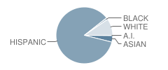 South Texas Business Education & T School Student Race Distribution