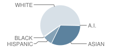 Spicewood Elementary School Student Race Distribution