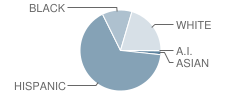 Bluebonnet Elementary School Student Race Distribution