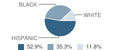 Williamson County Juvenile Justice Alternative Education Program (Jjaep) School Student Race Distribution