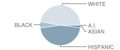 Glenn Middle School Student Race Distribution