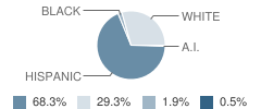 Skidmore-Tynan Elementary School Student Race Distribution