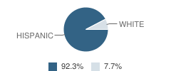 Bexar County Juvenile Justice Alternative Education Program (Jjaep) School Student Race Distribution
