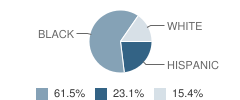 Texas City Juvenile Justice Alternative Education Program (Jjaep) School Student Race Distribution
