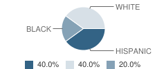 Smith County Juvenile Justice Alternative Education Program (Jjaep) School Student Race Distribution