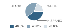 Harris County Juvenile Justice Alternative Education Program (Jjaep) School Student Race Distribution