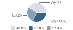 Wichita County Juvenile Justice Alternative Education Program (Jjaep) School Student Race Distribution