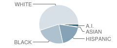 Winona Middle School Student Race Distribution