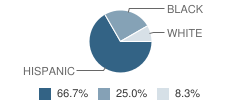 Cesar Chavez Academy Juvenile Justice Alternative Education Program (Jjaep) Student Race Distribution