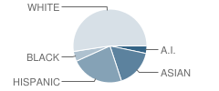 Academy for Math Engineering & Science (Ames) Student Race Distribution