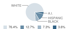 Artec (Non-Custodial) School Student Race Distribution