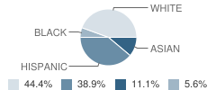 The Journey (Yic) School Student Race Distribution