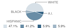 Ywec-L (Yic) School Student Race Distribution