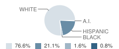 Tooele High (Homestudy) School Student Race Distribution