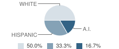 Springville Observation and Assessment (Yic) School Student Race Distribution