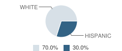 Lighthouse Academy (Yic) Student Race Distribution